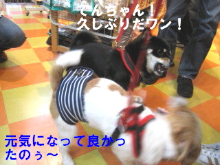 c0185516_003089.jpg
