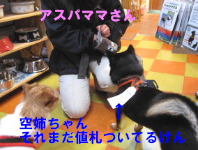 c0185516_023210.jpg