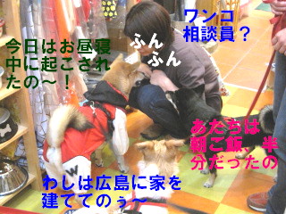 c0185516_14135578.jpg
