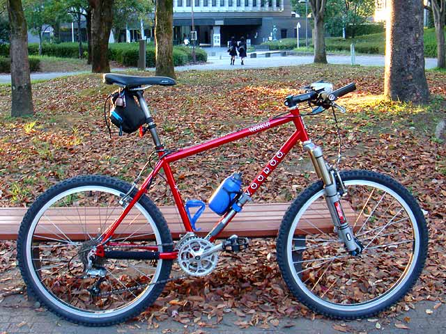 2009 MTBシーズンイン_b0146418_23185927.jpg