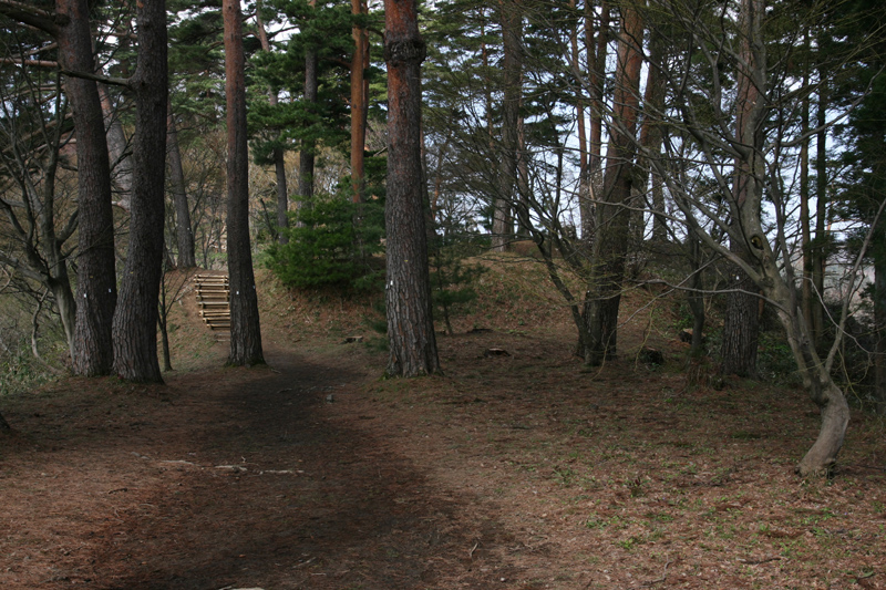 d0054625_22103390.jpg