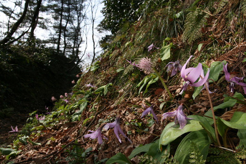 d0054625_221178.jpg