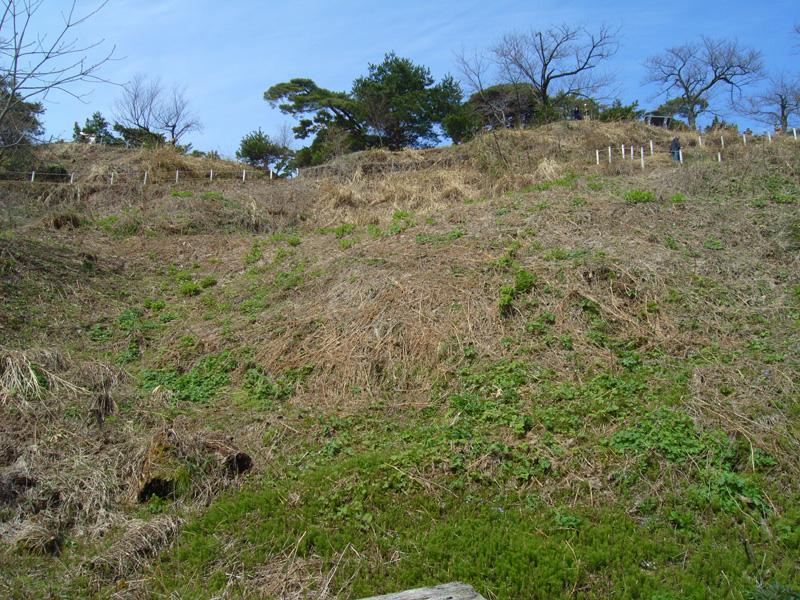 d0054625_22244958.jpg