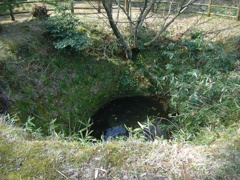 d0054625_22254958.jpg