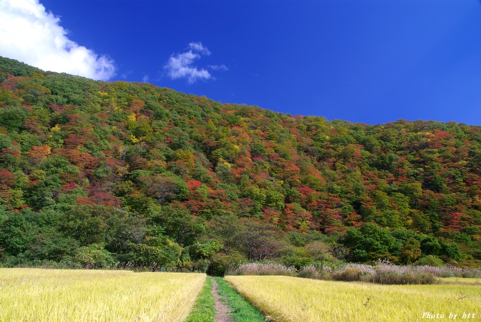 紅葉　 浅布渓谷_f0148627_20453349.jpg