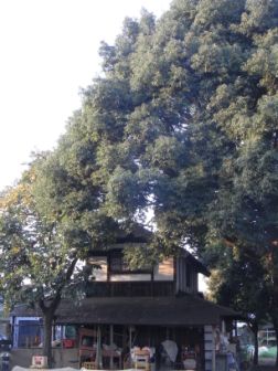 c0195134_16344531.jpg