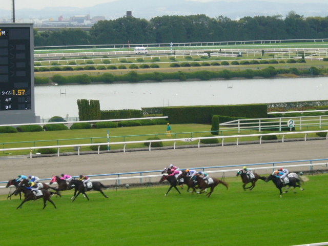 京都競馬場にて・・・_c0150037_653338.jpg