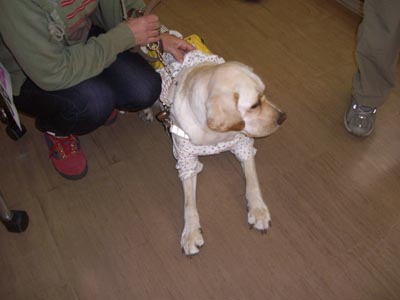 e0110940_23441234.jpg