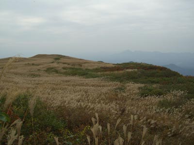 e0110940_23471512.jpg