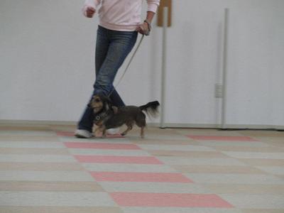 f0186040_2013669.jpg