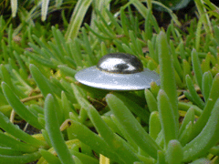 e0005548_2221414.gif