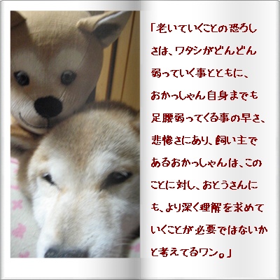 四捨五入したらハタチ?!_c0049950_118334.jpg
