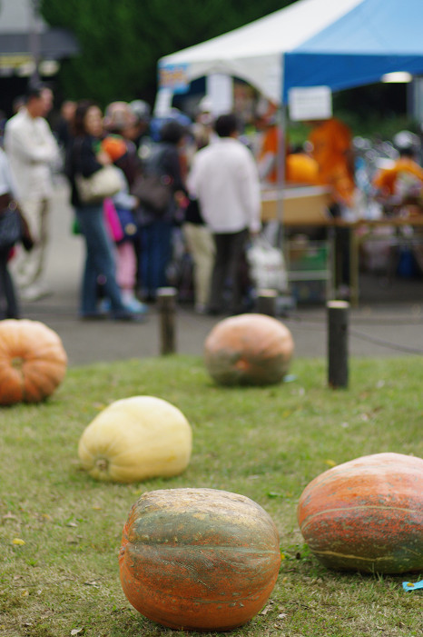 北山ハロウィンでプチオフ会..._f0152550_20432917.jpg