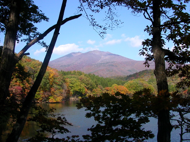 b0180352_021837.jpg