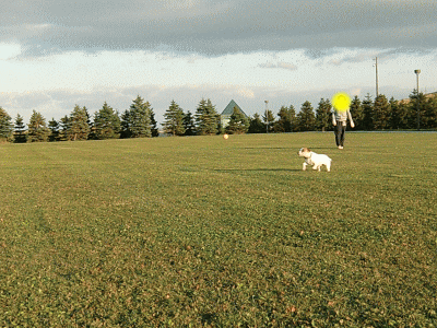 b0105157_1854265.gif
