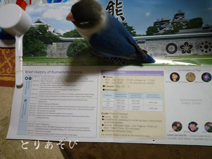 e0147757_21531683.jpg