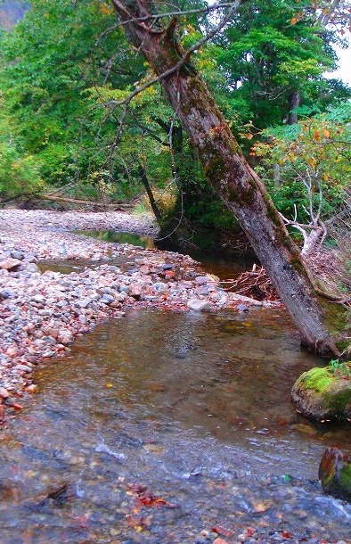 ＜2009年９月大型連休＞北海道・日高山脈の難関峰「ペテガリ岳」：（後編）_c0119160_20283656.jpg