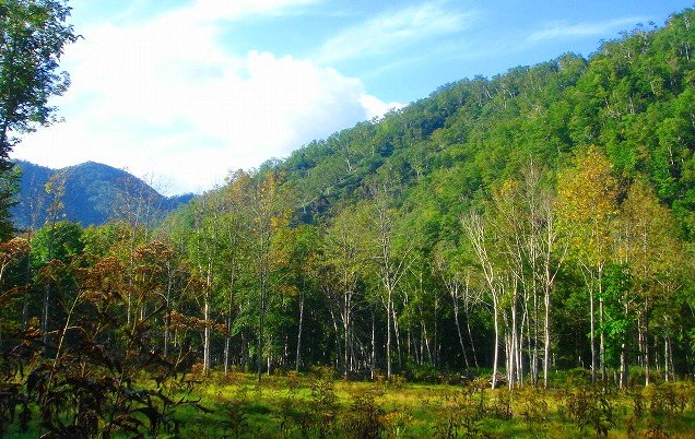 ＜2009年９月大型連休＞北海道・日高山脈の難関峰「ペテガリ岳」：（後編）_c0119160_20293083.jpg