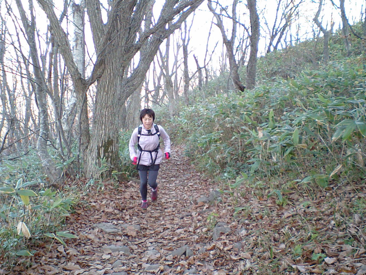 d0098665_17502022.jpg