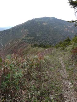 会津三岩岳避難小屋分岐→窓明山→家向山→巽沢山 その2_b0053472_2212193.jpg