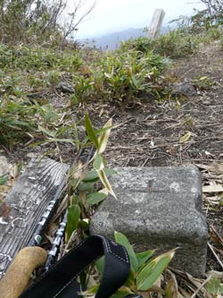 会津三岩岳避難小屋分岐→窓明山→家向山→巽沢山 その2_b0053472_22185394.jpg