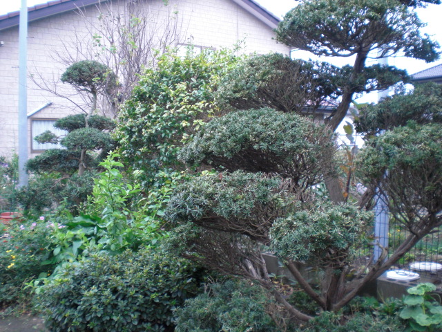 b0157276_17434211.jpg