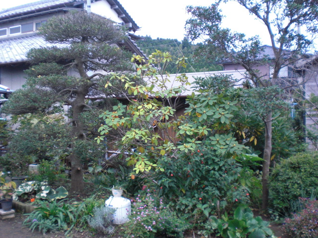 b0157276_17435824.jpg