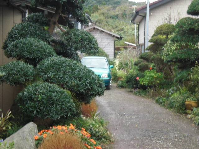 b0157276_17442347.jpg