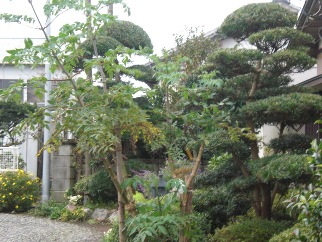 b0157276_17444446.jpg