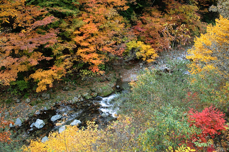 紅葉前線まで２００ｋｍ  Ⅱ_f0080076_19223351.jpg