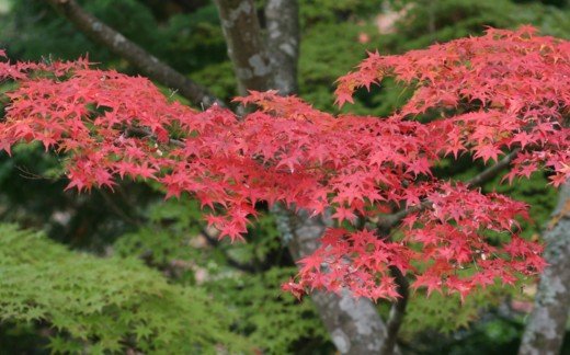 c0144185_2255449.jpg