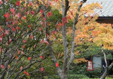 c0144185_2258090.jpg