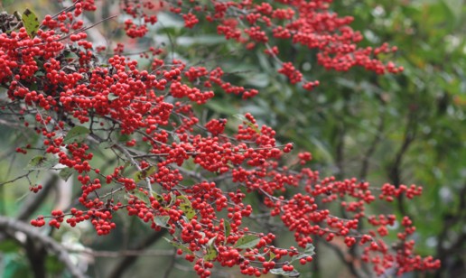 c0144185_23265159.jpg