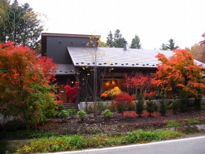 今年の紅葉_d0133485_10533075.jpg