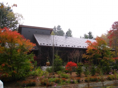 今年の紅葉_d0133485_1055535.jpg