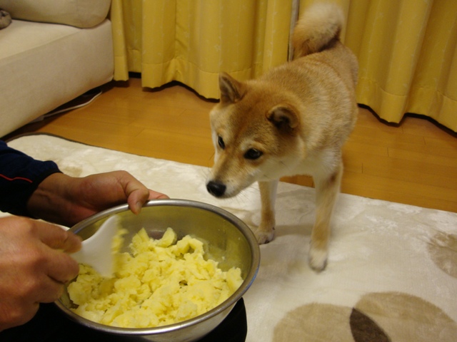 優しいのはどっち?_a0126590_22303116.jpg