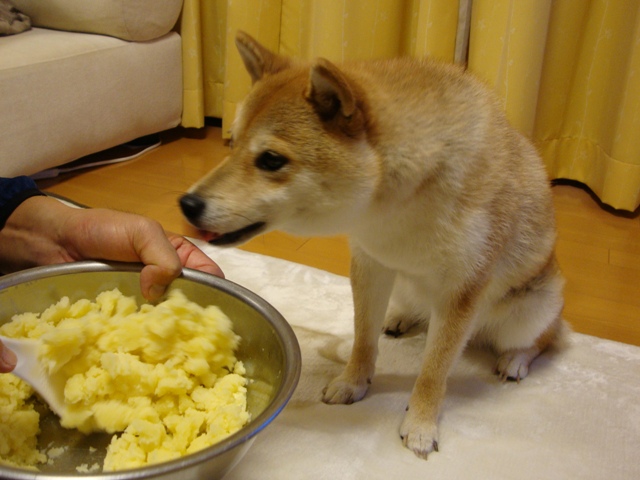 優しいのはどっち?_a0126590_22305062.jpg