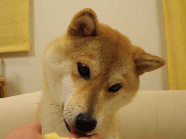 優しいのはどっち?_a0126590_22322595.jpg