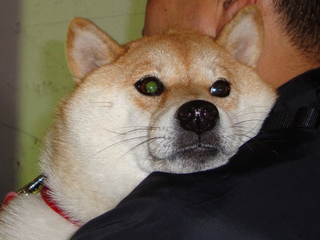 紅葉を見に行こう!_a0126590_542272.jpg