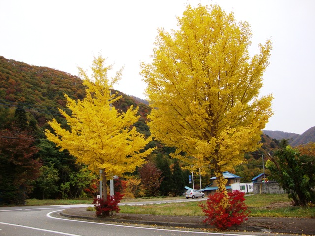 紅葉を見に行こう!_a0126590_5451885.jpg