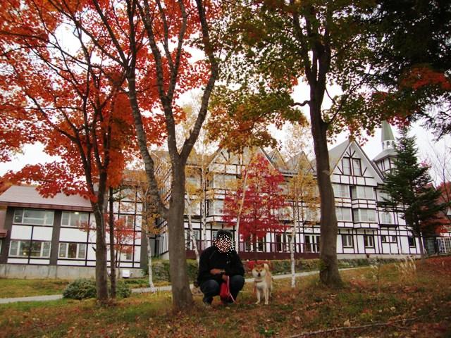 紅葉を見に行こう!_a0126590_7301533.jpg