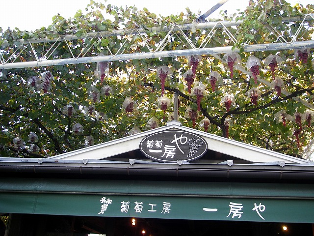 d0050290_0151755.jpg