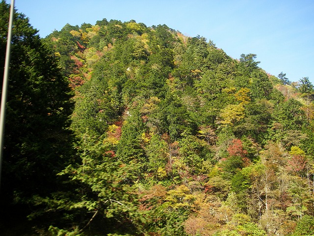 d0050290_065488.jpg