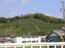c0035297_10301227.jpg