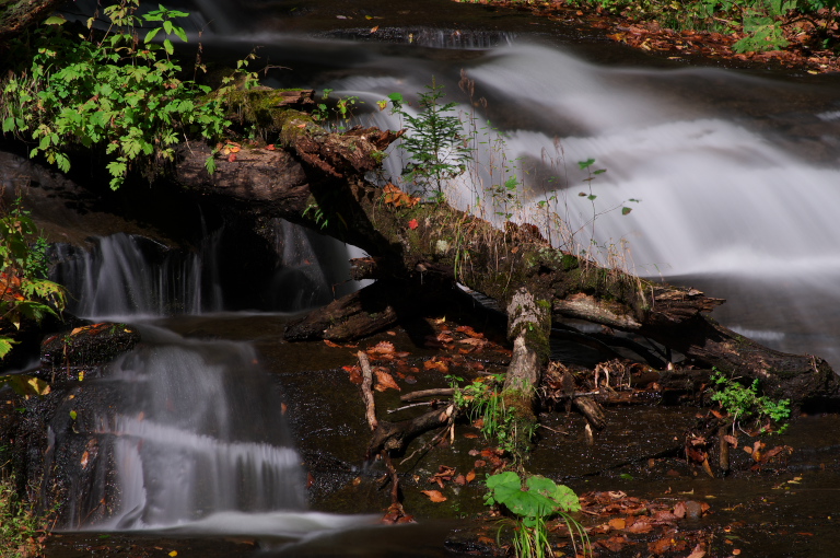 flow of water_f0002701_7482841.jpg