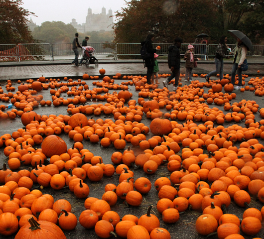 セントラルパークのハロウィン・イベント　Pumpkin Festival 2009_b0007805_11565517.jpg