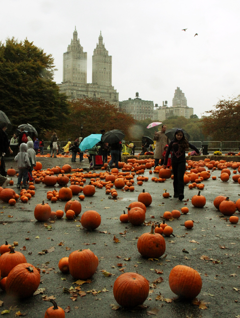 セントラルパークのハロウィン・イベント　Pumpkin Festival 2009_b0007805_11573653.jpg