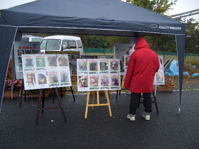 c0116610_9551632.jpg