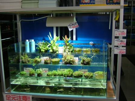 佐賀 福岡ショップ巡り Humming Lifestyle Aqua