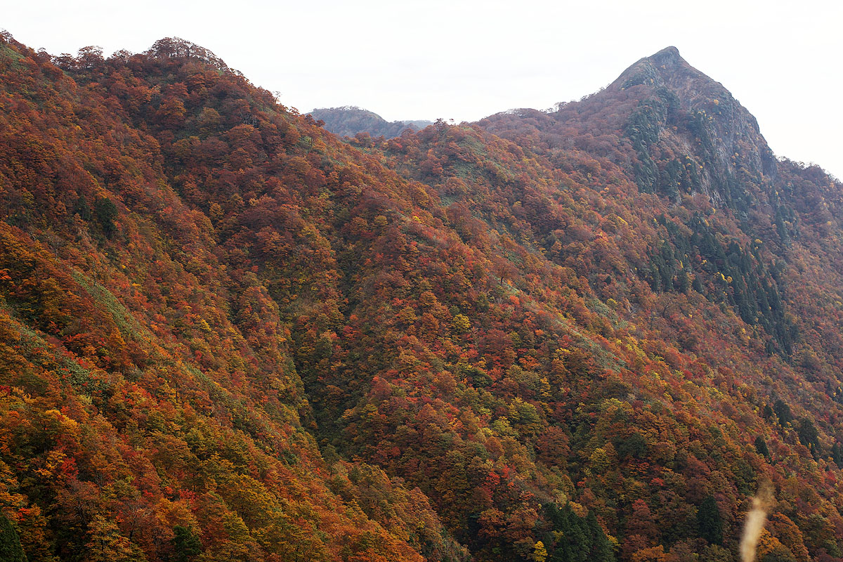 c0115616_1823771.jpg